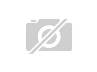 Heilige Birmababies suchen Schmuseplatz auf Lebenszeit